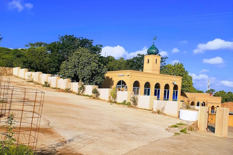 Panoramic view of Kanye, showing traditional houses alongside modern buildings