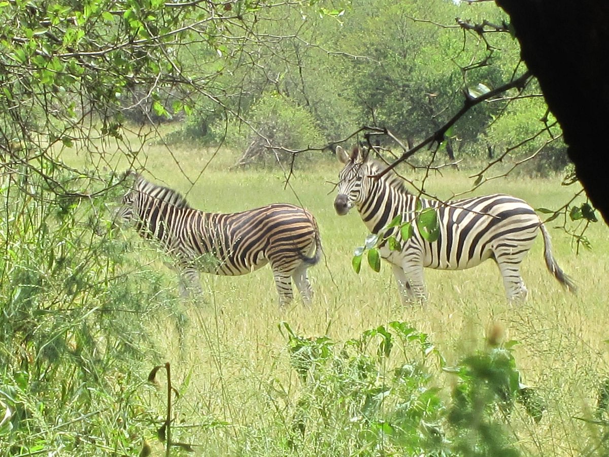 Gaborone Game Reserve