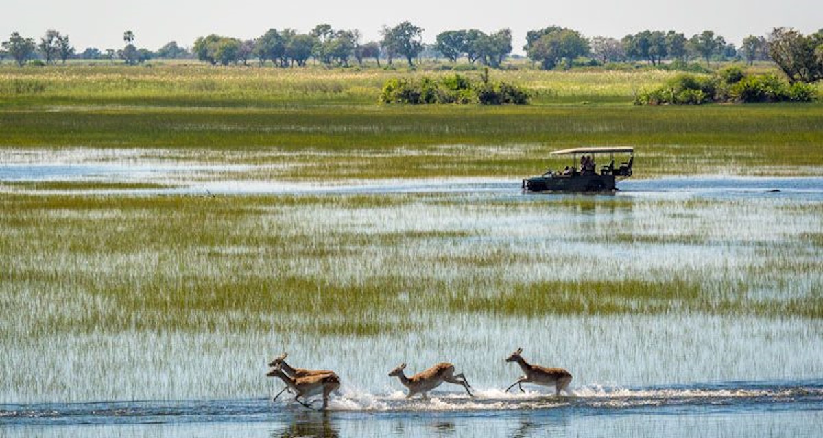 River ride in Okavango Delta