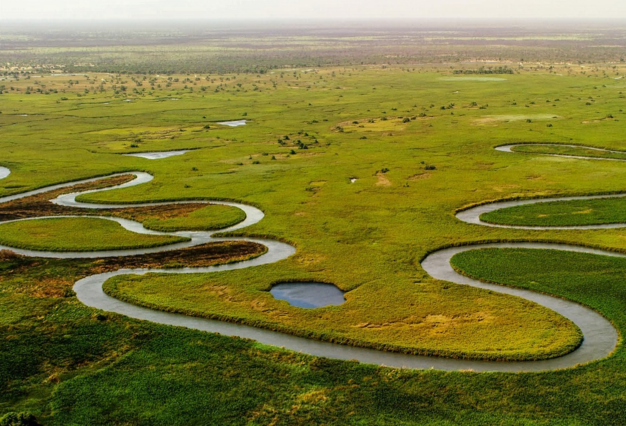 Scenic view of the Okavango River near Shakawe, with lush vegetation and calm waters